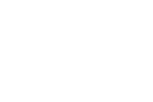  Innovation and Development I+D 