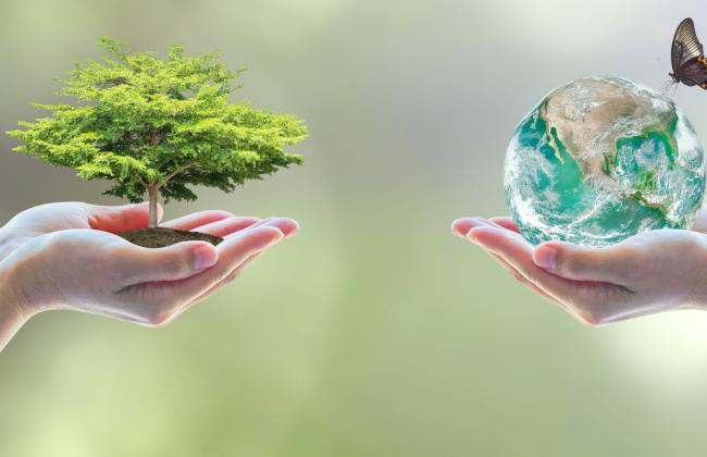 /sites/default/files/styles/thumbnail_650x420/public/2020-11/Memoria-sostenibilidad_ThinkUpLKS.jpg?itok=bbsDBnlq